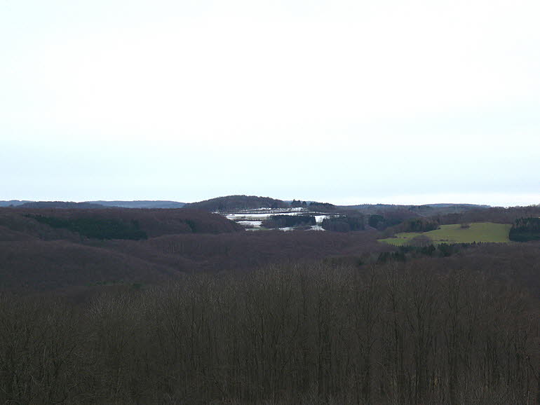 09 KW 50 - 2