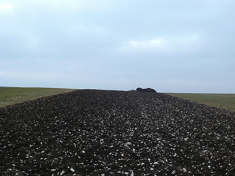 11 KW 08 - 3