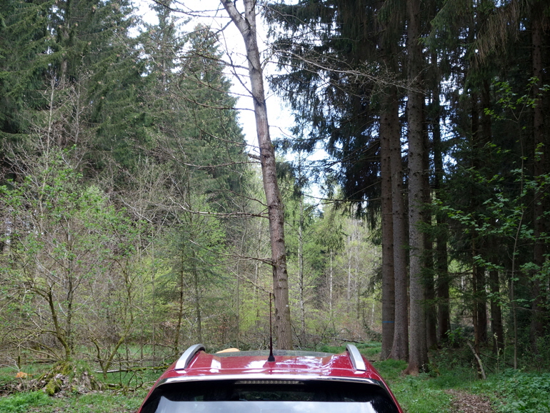 2019 KW 25-4